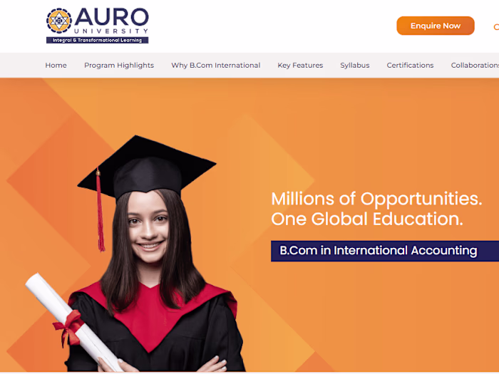 Website Development