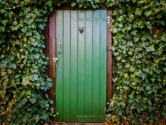 The Wrong Doors 