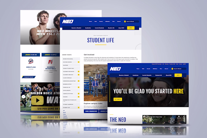 University Website Design & Development