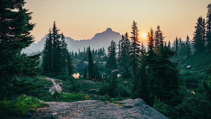 Awakening the Realms of Vitality