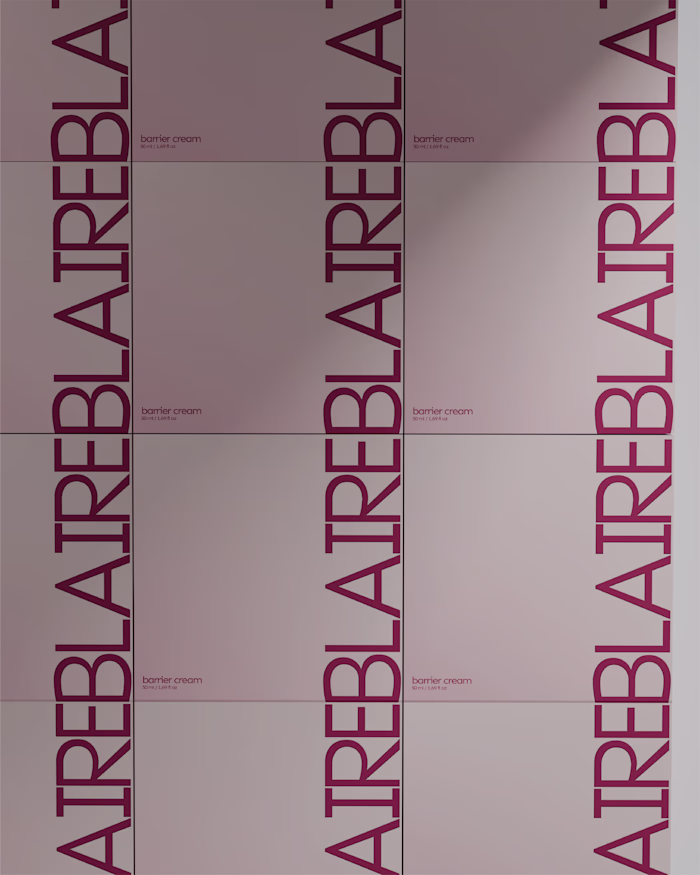BLAIRE Part 3.
A closer look