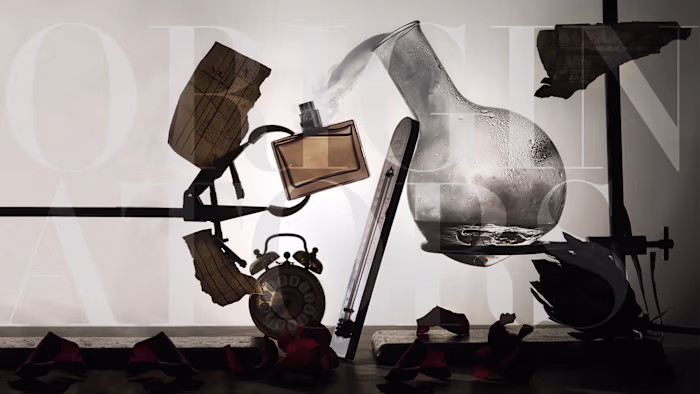 Luxury Brand Identity for Agents of Beauty