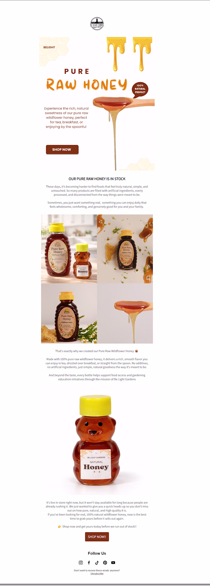 Email Campaign Design for an