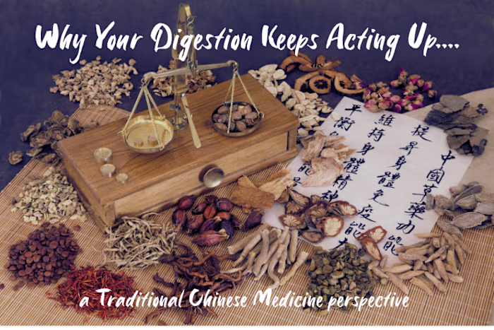 Spec SEO Wellness Blog & Funnel Copy: TCM Root-cause Digestion