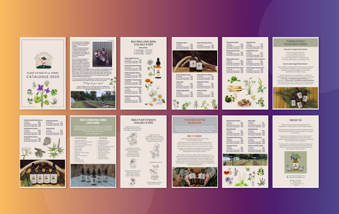 Designed a professional product catalogue