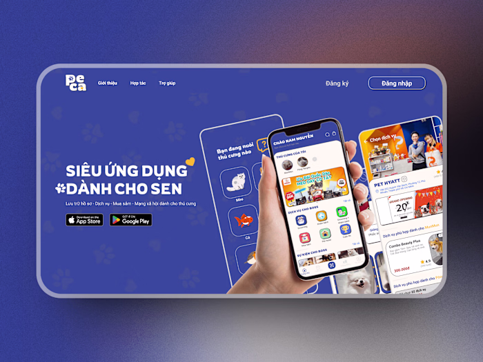 UX/UI Design