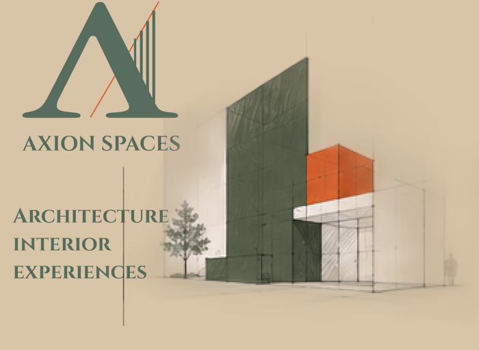 Axion brand guideline