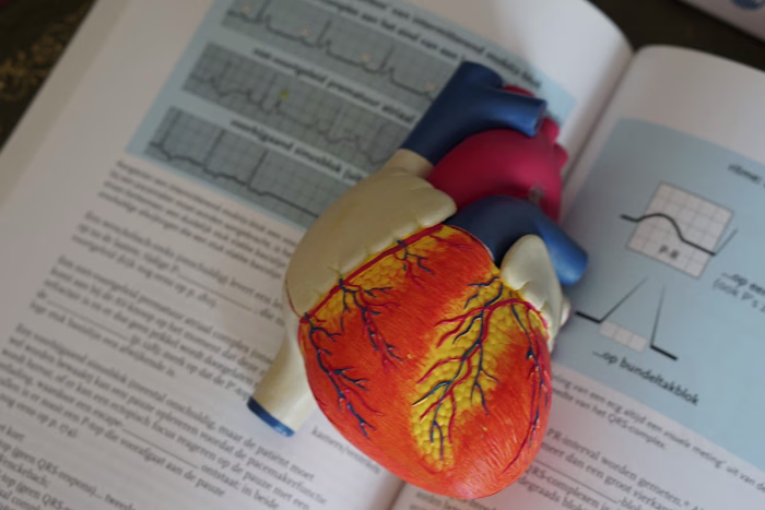 A Man with a Rare Heart Infection and Its Effects on His Body