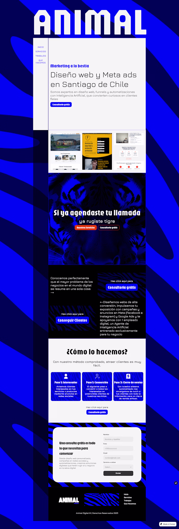 Personal Marketing agency project, AnimalDigital (Digital An...
