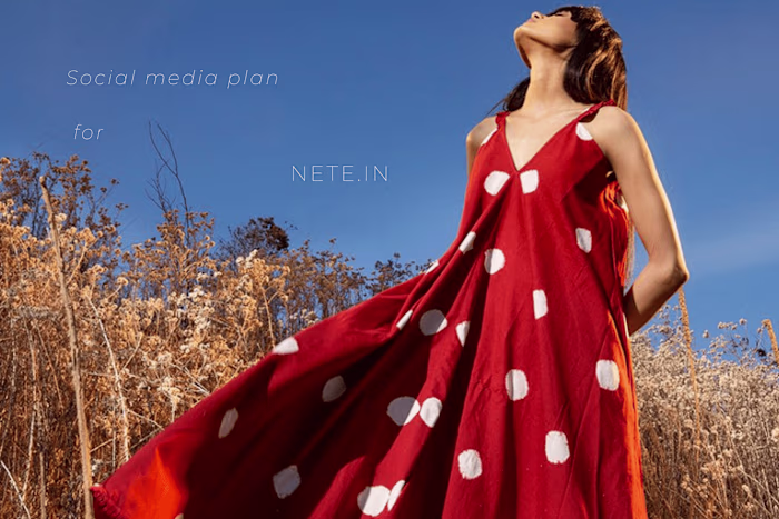 NETE.IN - Social Media Plan