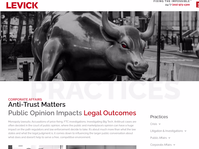 LEVICK | Web copy