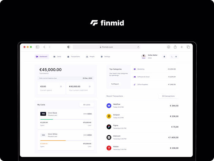 Financial Infrastructure for Software Businesses