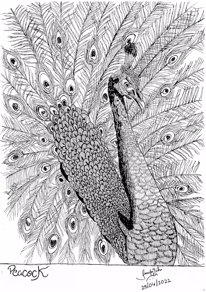 Animal and Plant Sketch in Pen