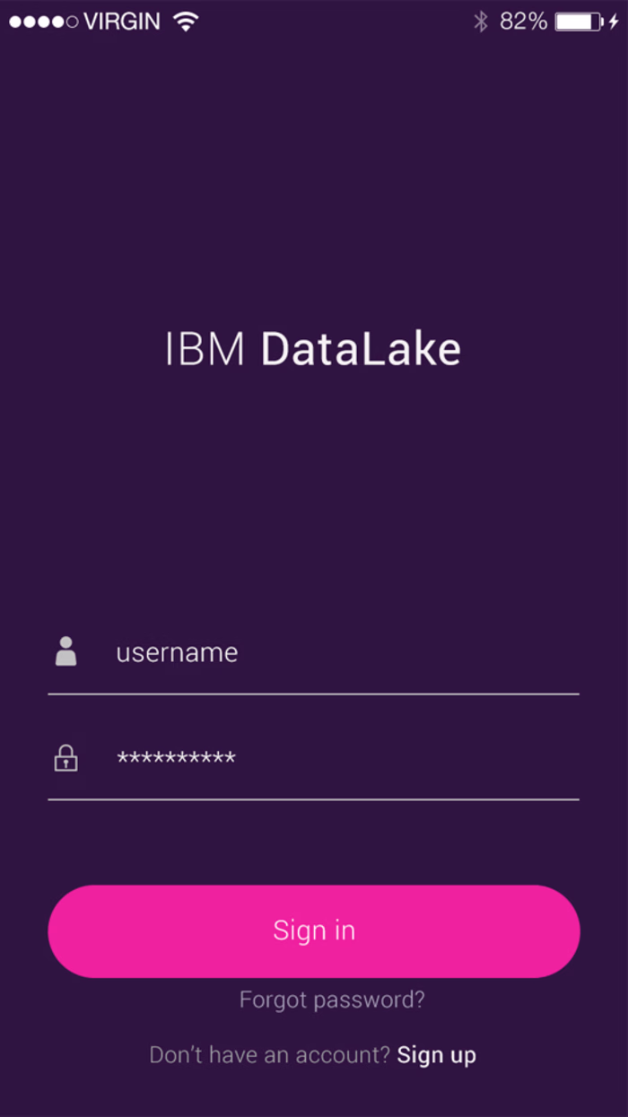 IBM DataLake
