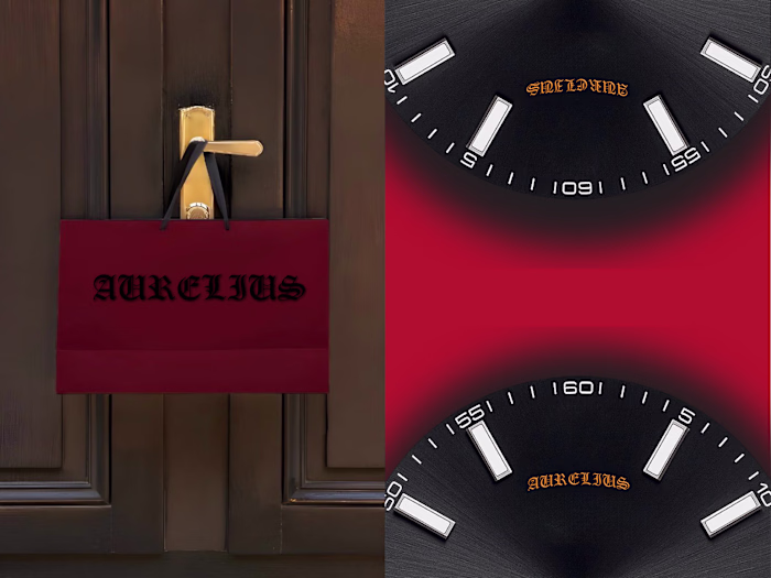  Brand Visual Identity | Aurelius