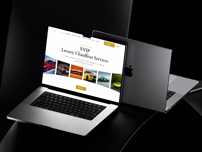 VVIP Luxury Chauffeur Hero Section
