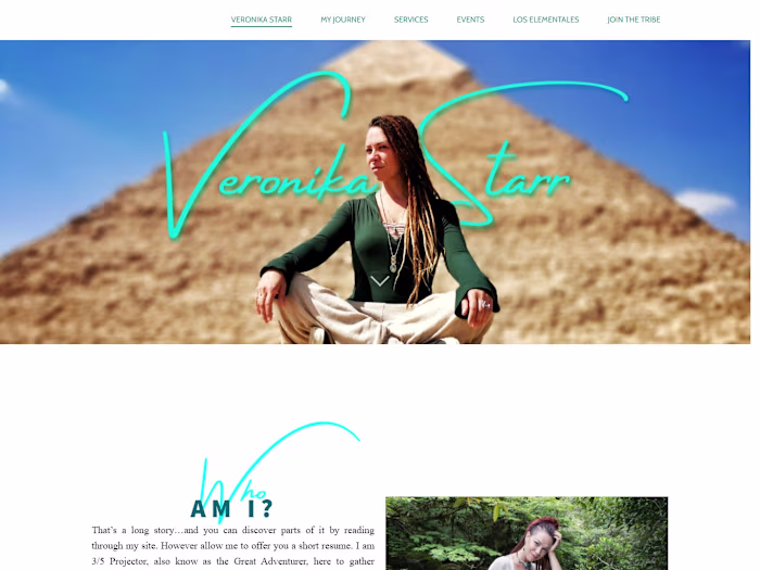 Website Design Examples