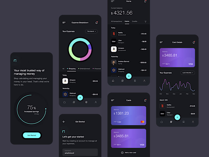Expense Project Concept Apps :: Behance