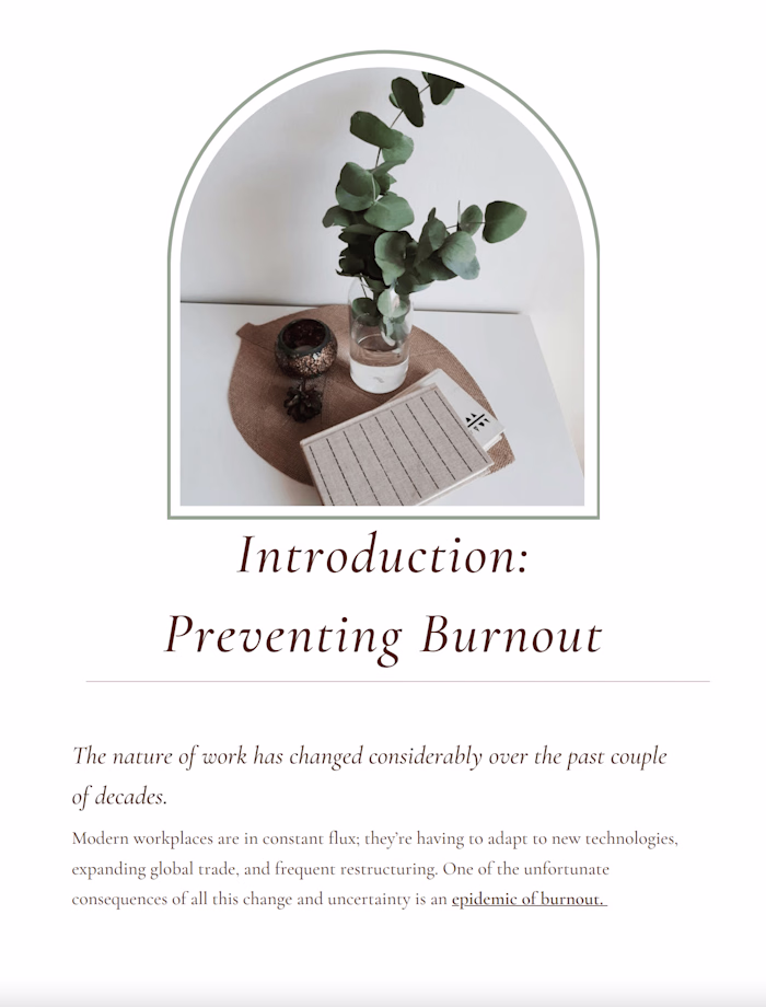 Preventing Burnout - eBook