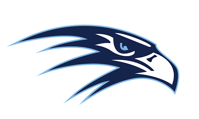 Custom Logo