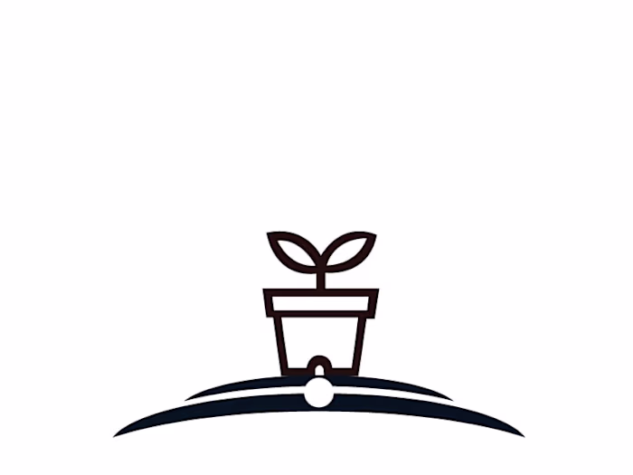 I will create logo design