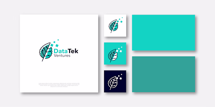 DataTek Ventures Logo