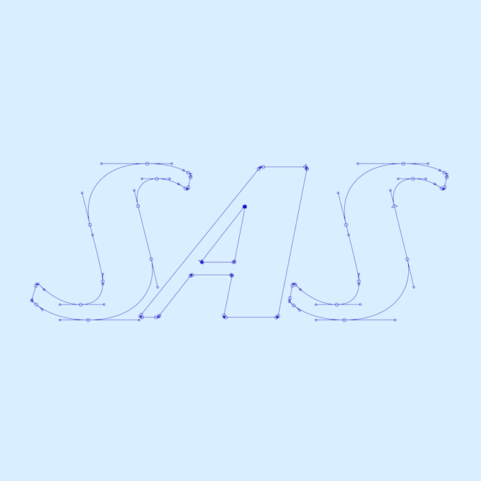 Design for Scandinavian Airlines