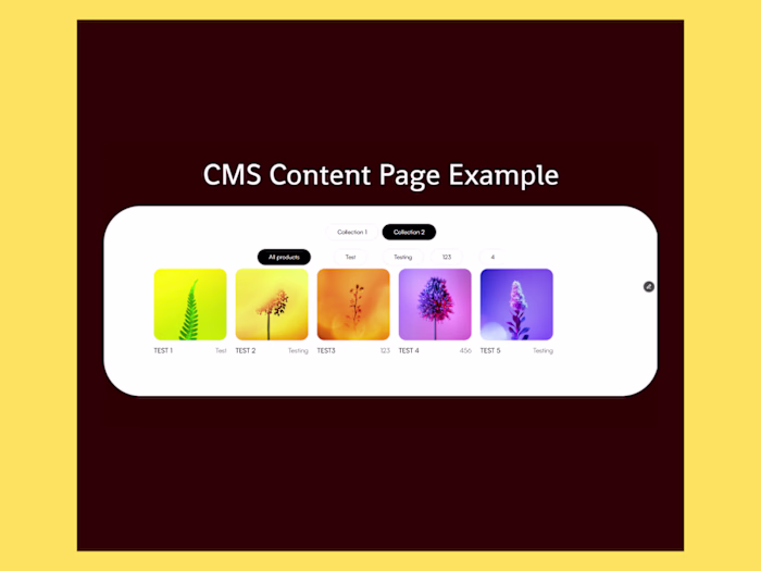 CMS Filtering between Collections and Category