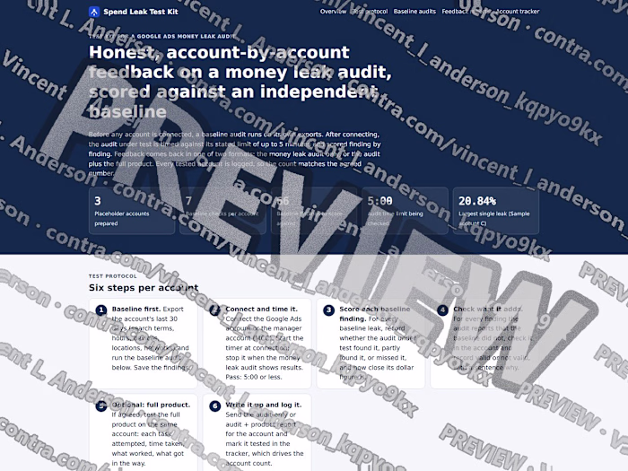 Money leak audit test kit for Google Ads accounts