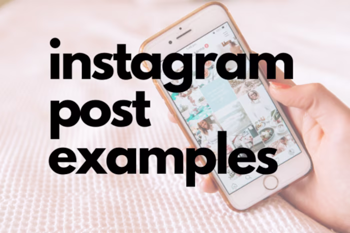 Instagram Post Examples