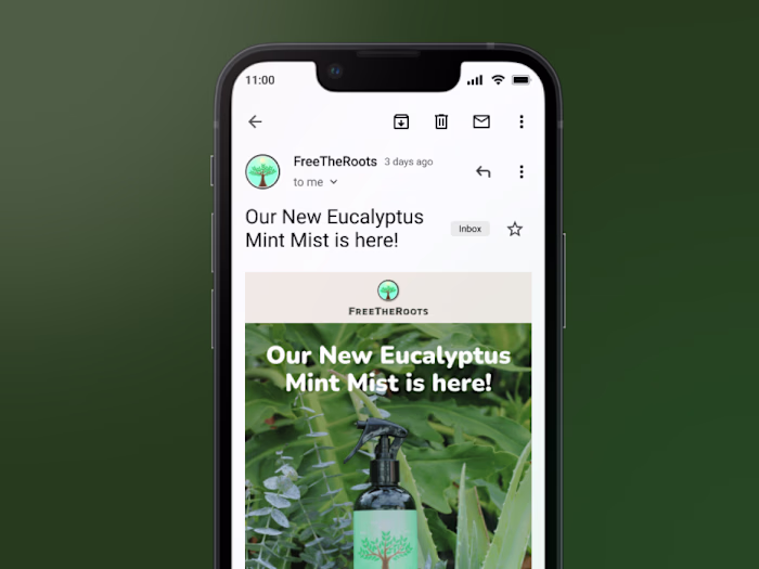 Email Marketing Design — FreeTheRoots (Product Launch)