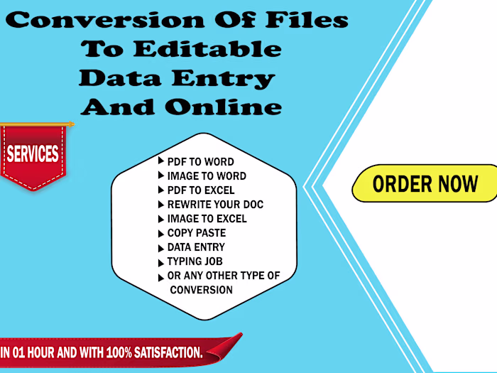 I will do dataentry,convert, image to word, PDF to word, rewrite
