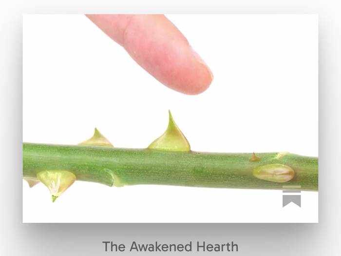 Content Blog: Emotional triggers as tools for growth