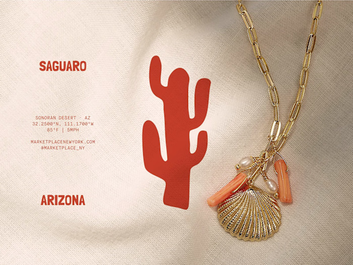 Saguaro x MPNY