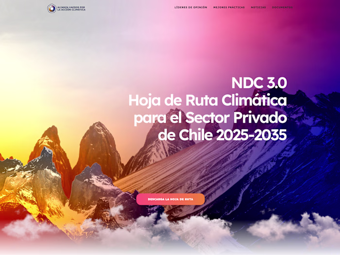 Alianza COP25 | Brand System & Digital Architecture