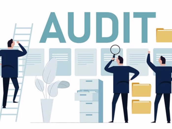 Data Audit