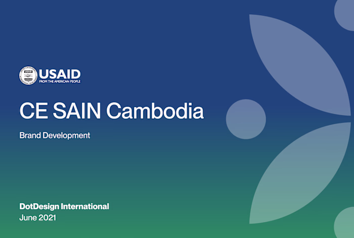 Branding - CE SAIN by USAID - Branding 