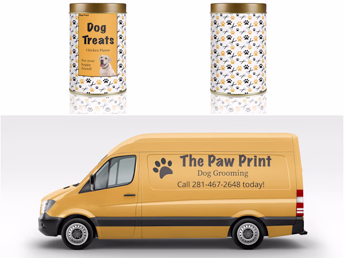 Full Brand Identity