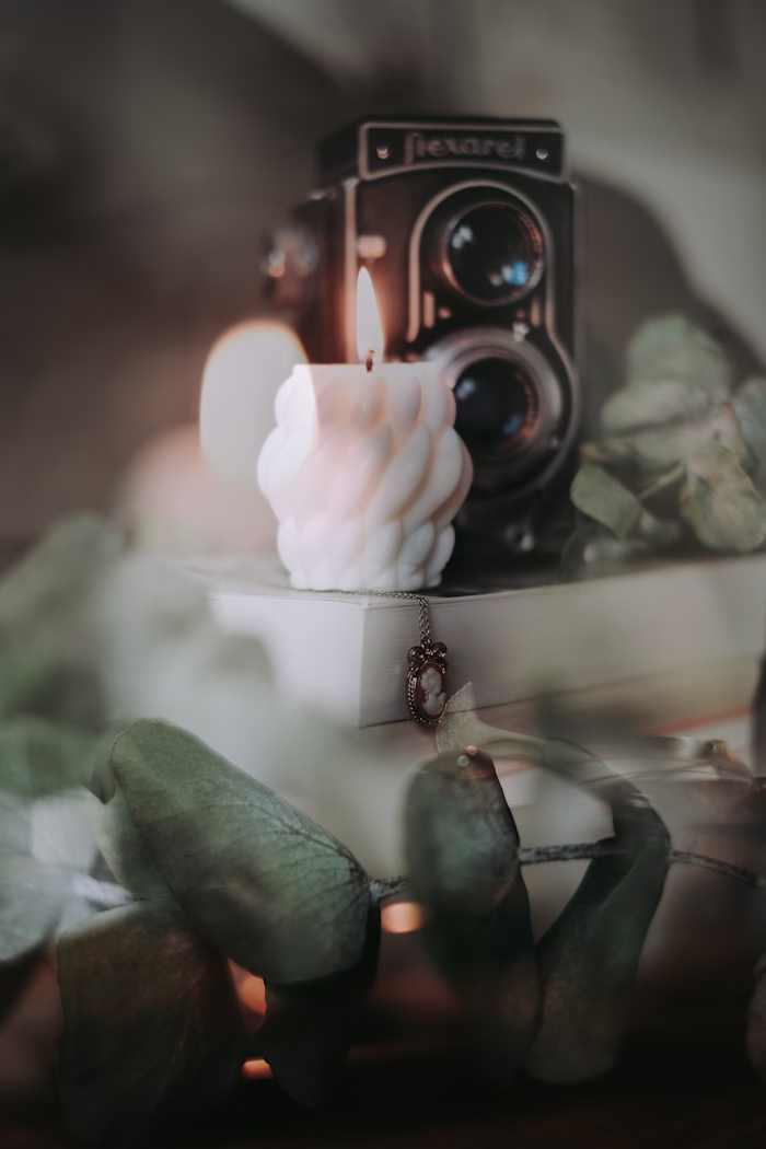 Product photo & video for Daizy Brand