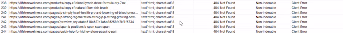 Case Study: SEO Optimizations That Placed Our E-Commerce Client…