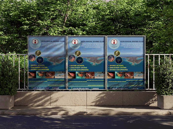 Ecological diving club poster