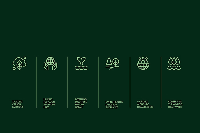 Iconography for TNC