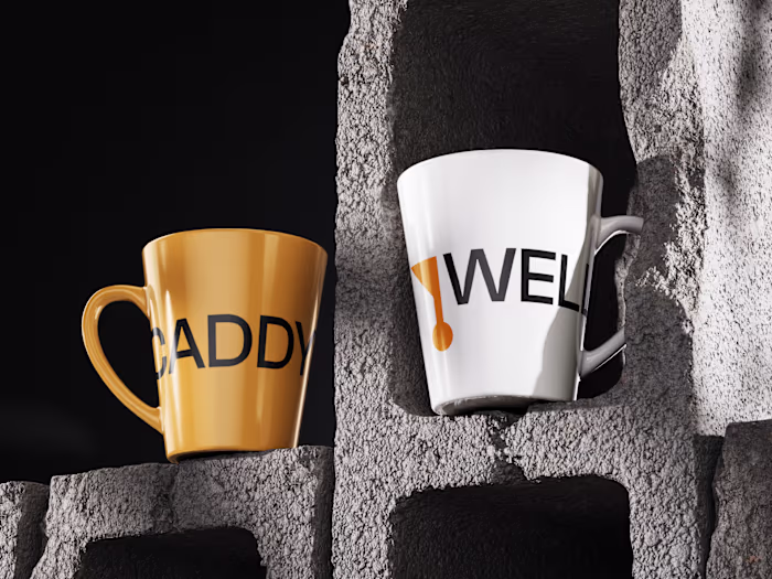 Wellcaddy Brand Identity Development