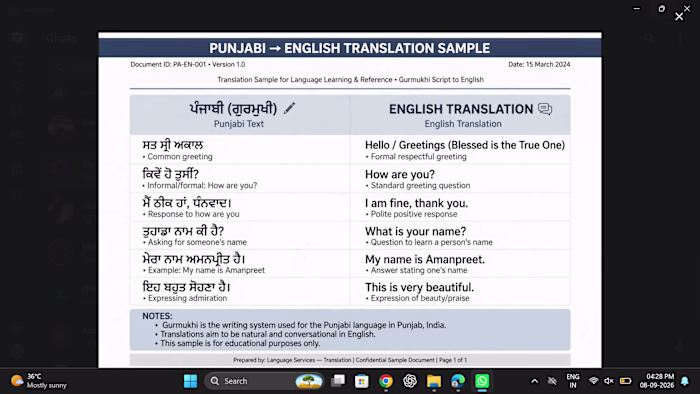 Punjabi to English Translation Sample