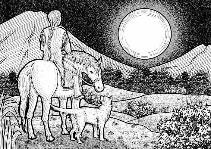 Illustrations for a Blog