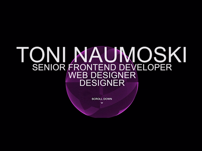 Toni Naumoski Portfolio