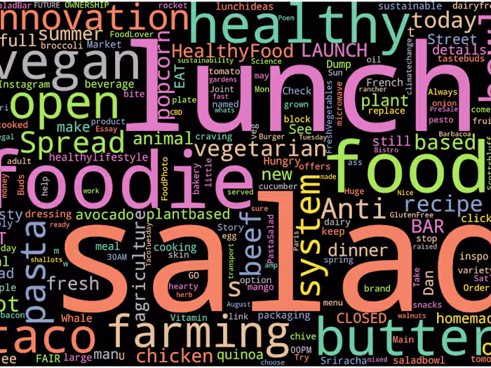 Topic Modelling based on vegan Twitter data