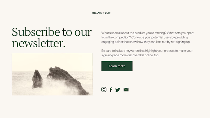Sample Branding / Newsletter Design 