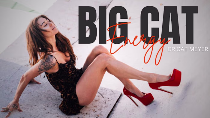 Kajabi Evergreen Course, Big Cat Energy