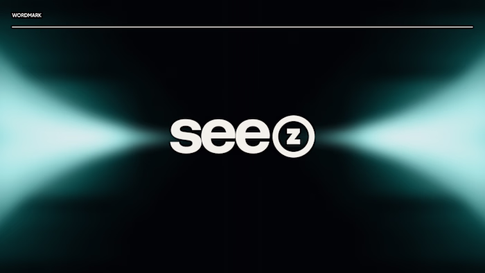 See Z - Brand Identity Design